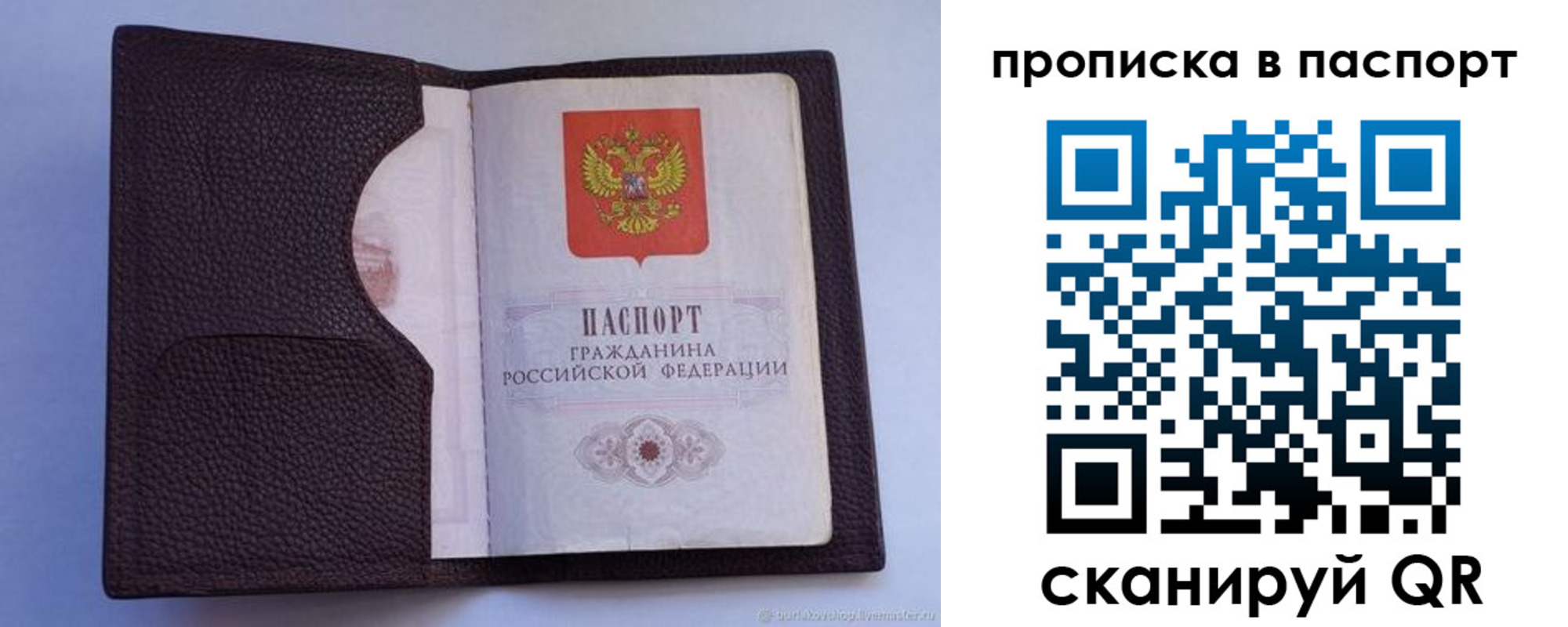 прописка законно в Бокситогорске